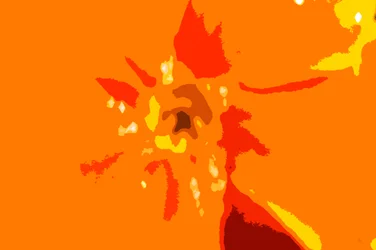 サンシャイン迷彩